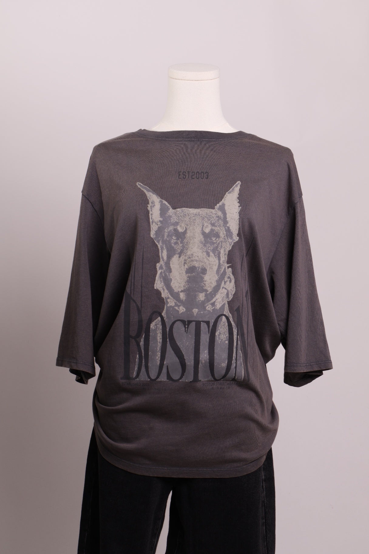 Chandail Boston imprimé chien