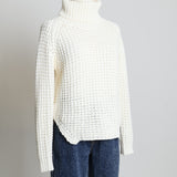 Tricot à col roulé